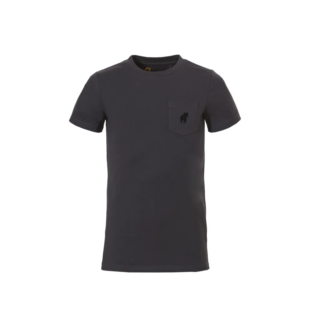 Grizzly T-shirt Grey